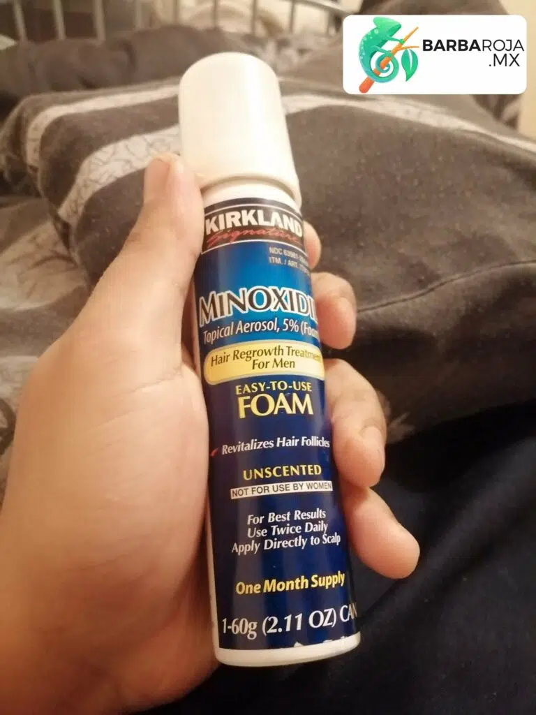 minoxidil kirkland 1 mes